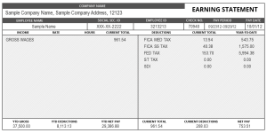 Instant Pay Stub